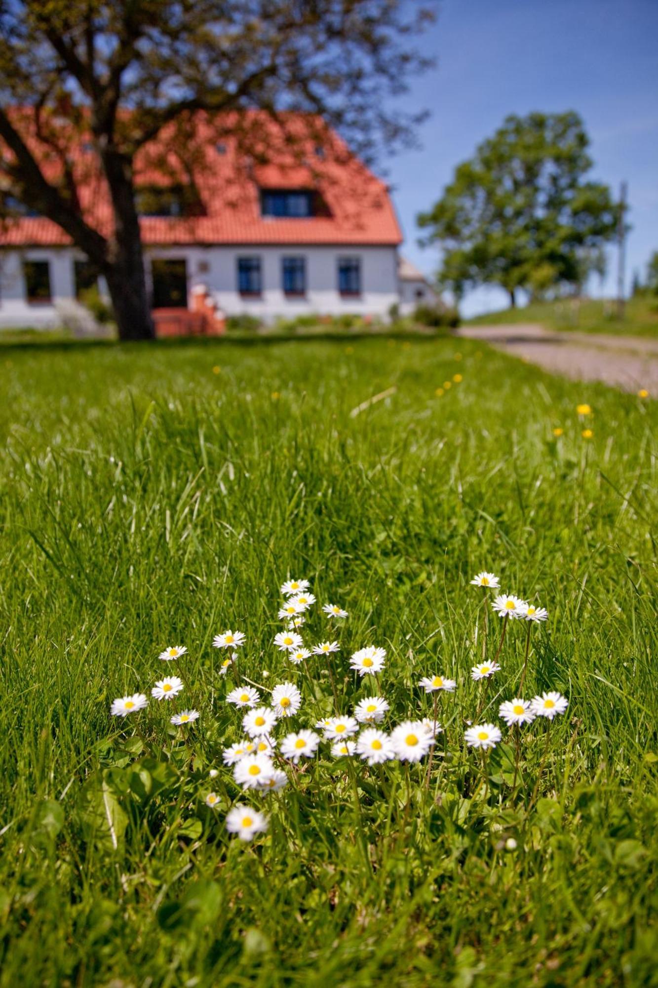 Gutshaus Ketelshagen Hotel Putbus Exterior foto